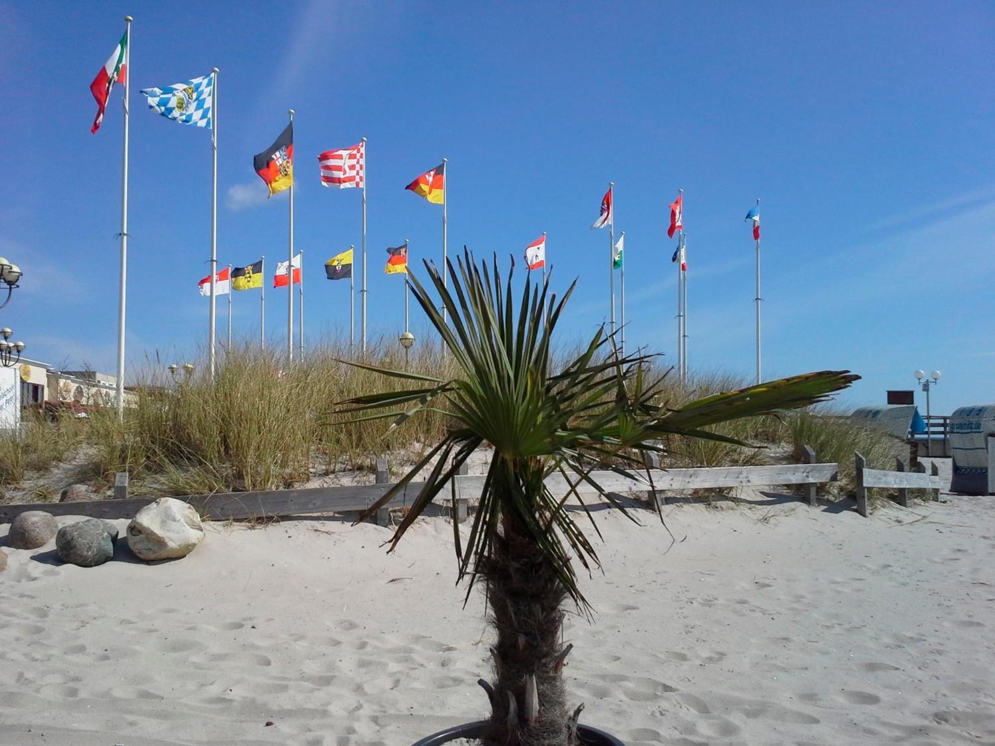 Haus Baltic - Whg 23 - Neu Inkl Saisonstrandkorb! Grömitz Eksteriør bilde